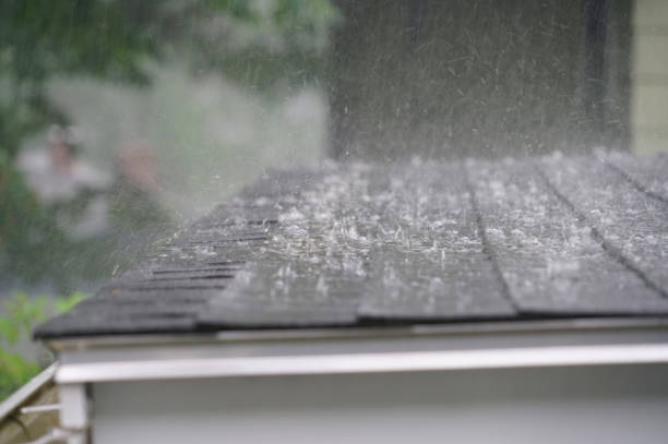 Best Emergency Roof Repair Services  in Bridgeport, WV