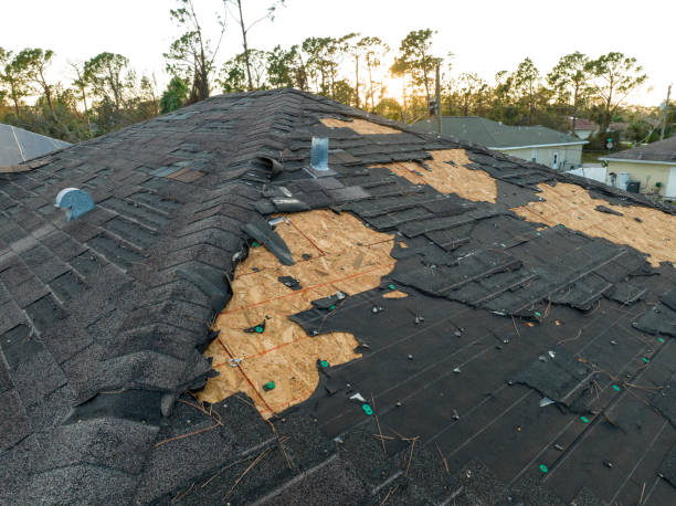 Best Chimney Flashing Repair  in Bridgeport, WV